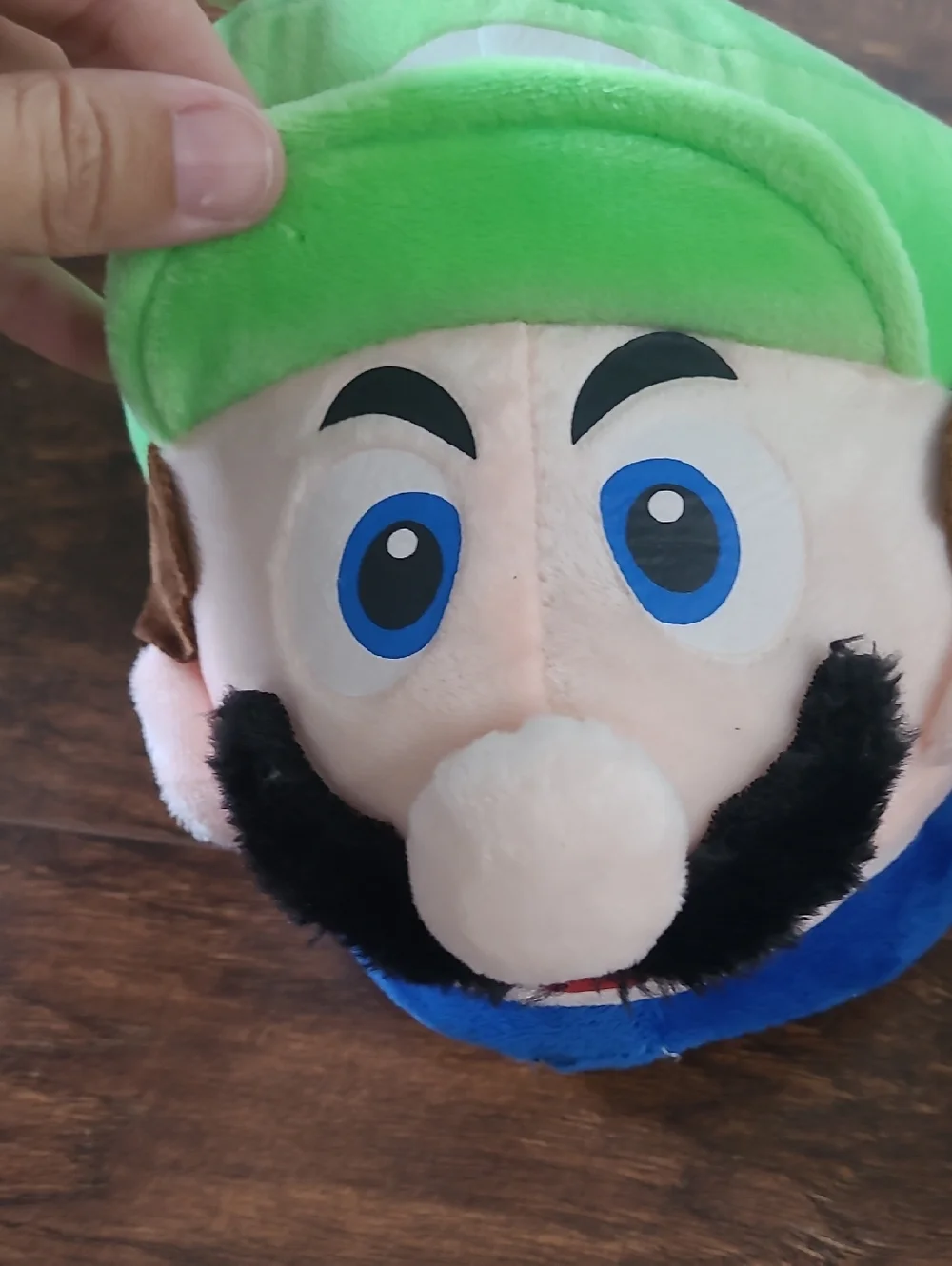 Luigi Plush Character Slippers - Green & Blue